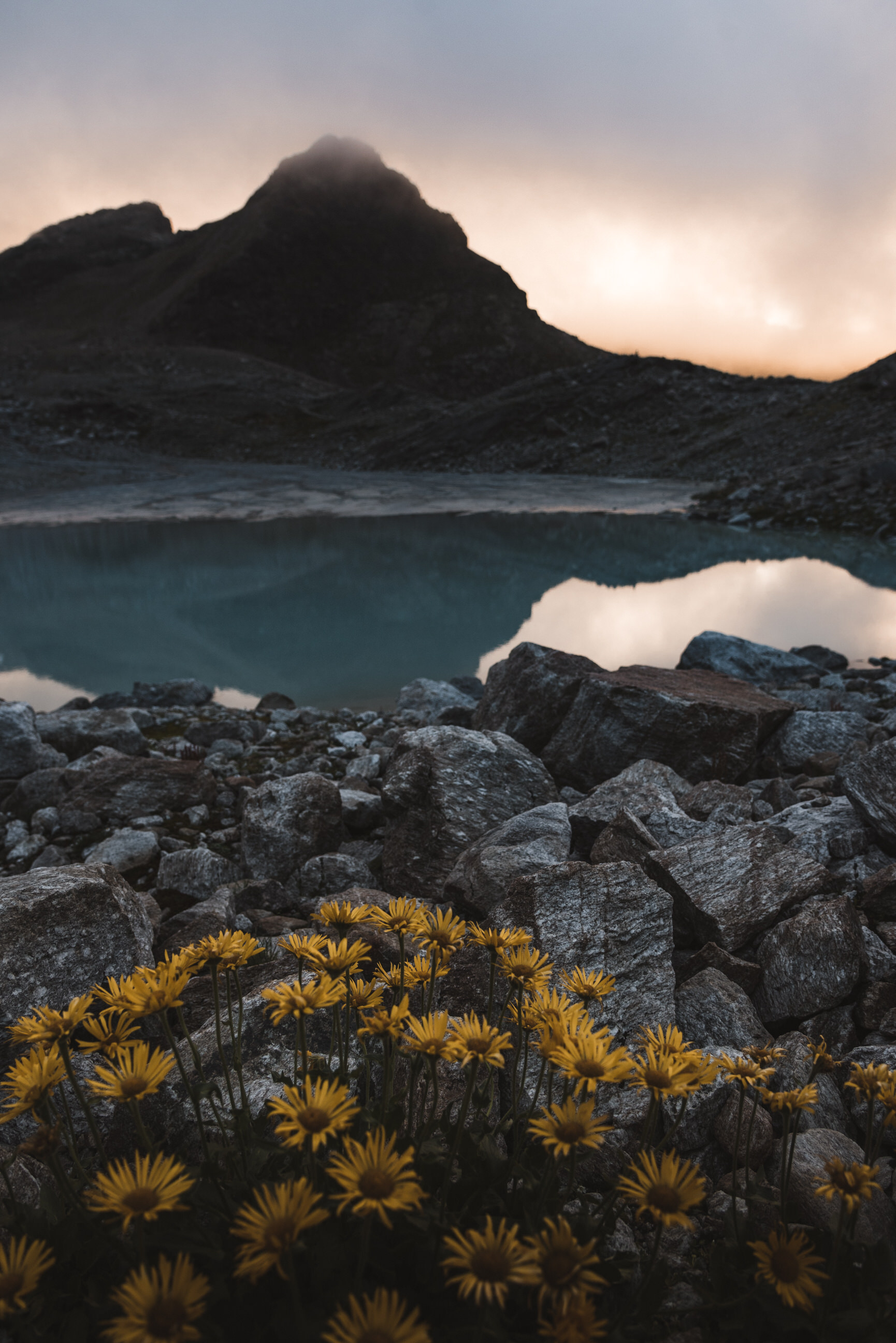 photo of summer hike